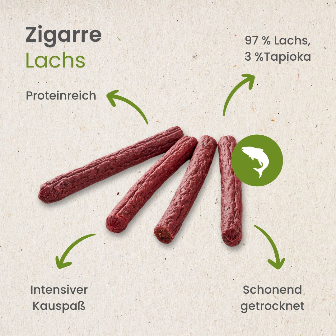 Lachs-Zigarre